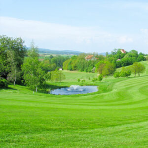 palatin-golfclub-hohenhardter-hof-wiesloch-baiertal-beitragsbild